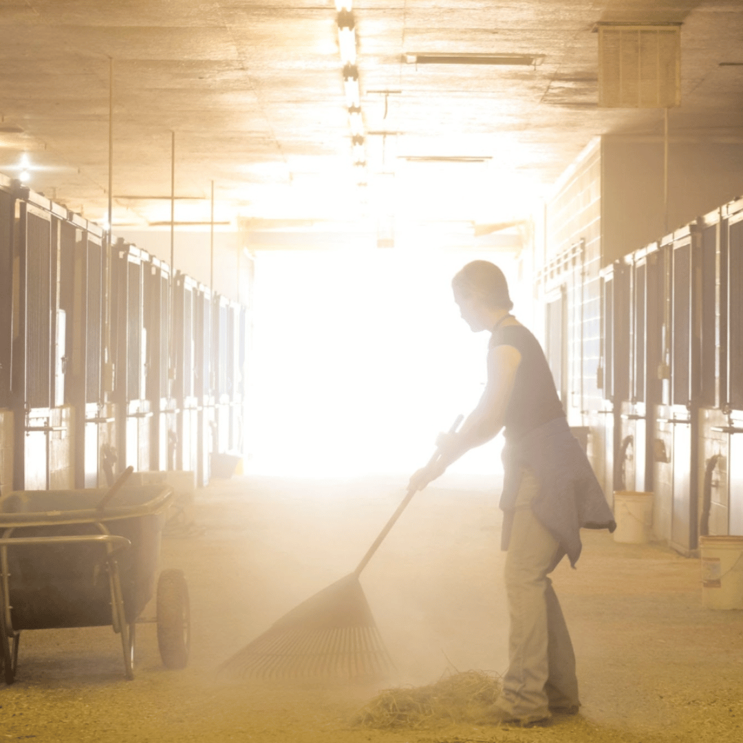 高壓清洗機應用範例：畜牧業清洗